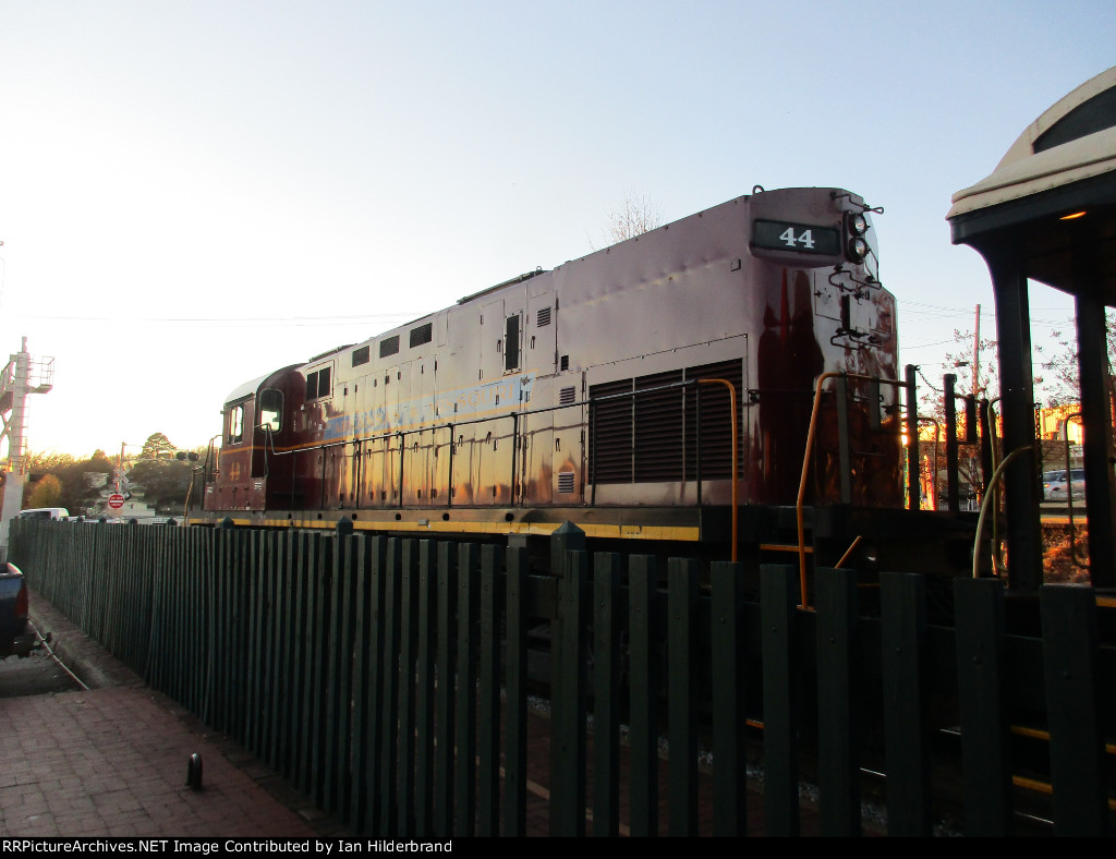 A&M 44 Basking